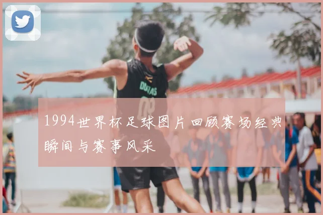 1994世界杯足球图片回顾赛场经典瞬间与赛事风采
