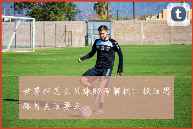 世界杯怎么买球赔率解析:投注思路与关注要点