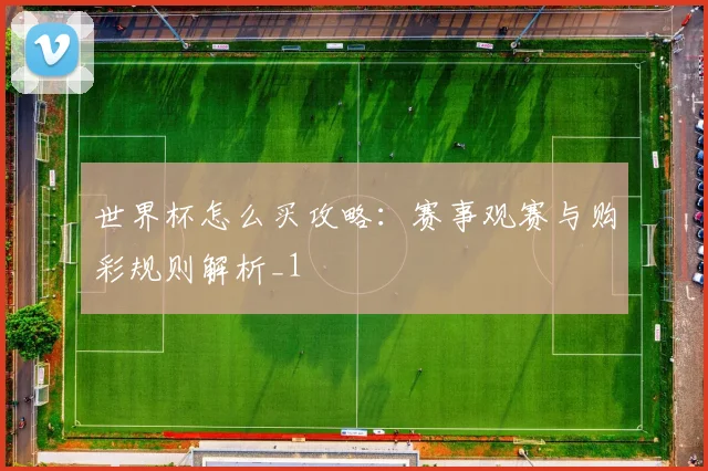 世界杯怎么买攻略：赛事观赛与购彩规则解析_1