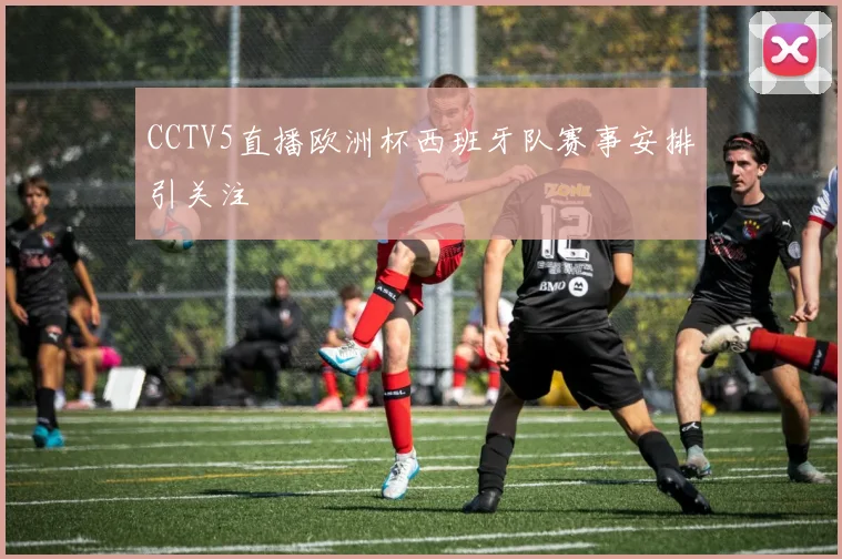 CCTV5直播欧洲杯西班牙队赛事安排引关注