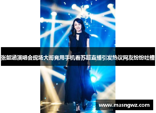 张韶涵演唱会现场大哥竟用手机看苏超直播引发热议网友纷纷吐槽