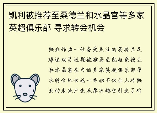 凯利被推荐至桑德兰和水晶宫等多家英超俱乐部 寻求转会机会