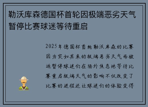 勒沃库森德国杯首轮因极端恶劣天气暂停比赛球迷等待重启